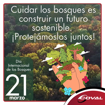 Protejamos juntos los bosques: es construir un futuro sostenible